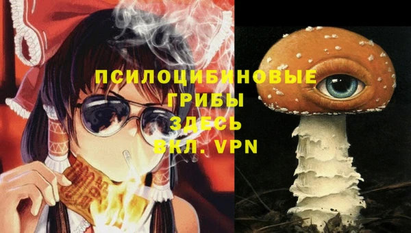 винт Алзамай