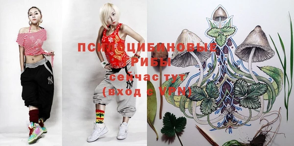 винт Алзамай