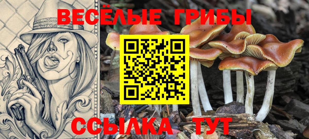 Галлюциногенные грибы Magic Shrooms Казань