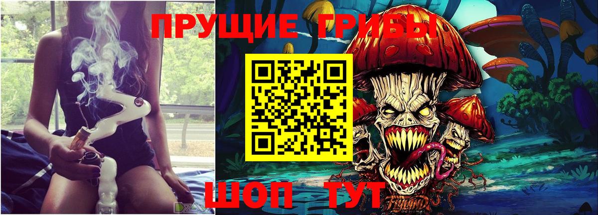Казань  Псилоцибиновые грибы прущие грибы  Вход с VPN 